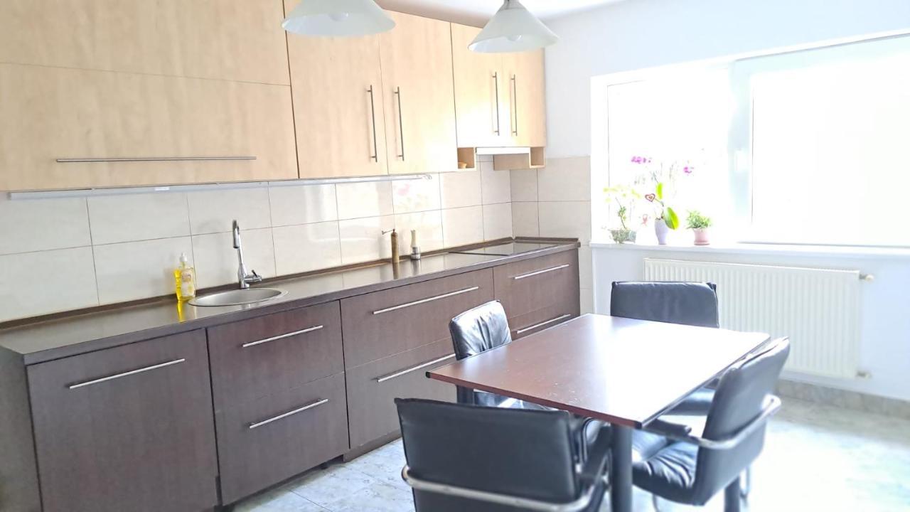 Daria Lorenzo Apartament Тимишоара Экстерьер фото